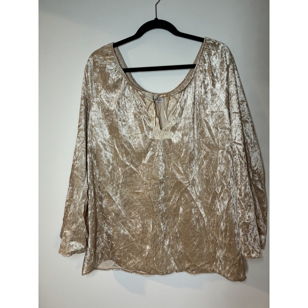 Women's Beige Velvet Top‎ 3/4 Sleeve Lace V Neck Renaissance Whimsical Fairy 3X